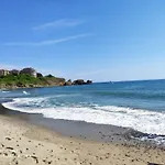 Inesa * 茨雷沃